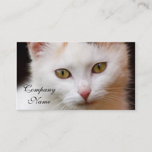 Carte De Visite Chat blanc (Devant)