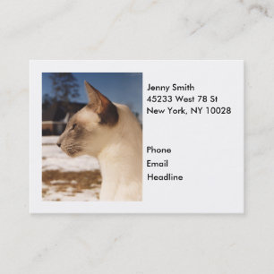 Carte De Visite Chat de neige - Profil de la pointe bleue de Siame