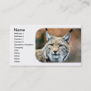 Carte De Visite Chat de prédateur de faune de chat sauvage de Lynx