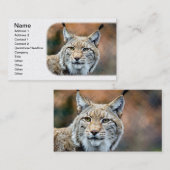 Carte De Visite Chat de prédateur de faune de chat sauvage de Lynx (Devant / Derrière)