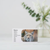 Carte De Visite Chat de prédateur de faune de chat sauvage de Lynx (Debout devant)