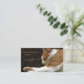 Carte De Visite Chat dormant sur canapé (Debout devant)
