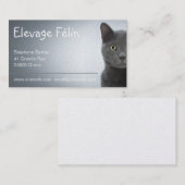 Carte de visite chat, élevage félin (Devant / Derrière)