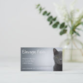 Carte de visite chat, élevage félin (Debout devant)