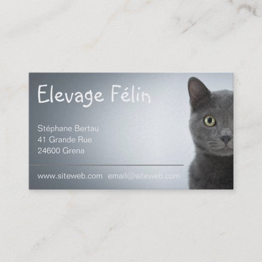 Carte de visite chat, élevage félin (Devant)
