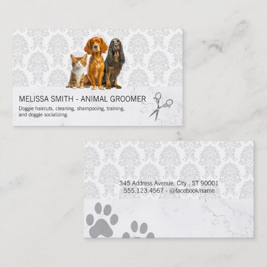 Carte De Visite Chat et chien | Modèle Damask (Devant / Derrière)