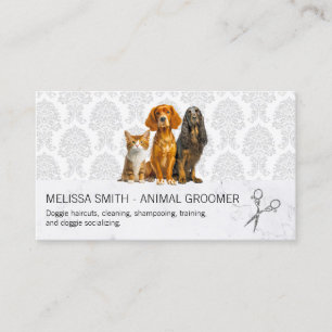 Carte De Visite Chat et chien Modèle Damask