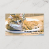 Carte De Visite Chat Funny remplaçable en évier Photographie et co (Devant)