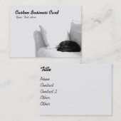 Carte De Visite Chat gris de sommeil sur le sofa blanc (Devant / Derrière)