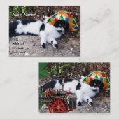 CARTE DE VISITE CHAT, HARLEQUIN LOCOMOTIVE CASQUETTE ET VAPEUR VIN (Devant / Derrière)