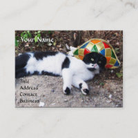 CHAT, HARLEQUIN LOCOMOTIVE CASQUETTE ET VAPEUR VIN