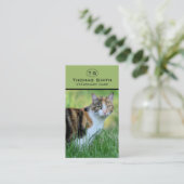 Carte De Visite Chat marron et blanc (Debout devant)
