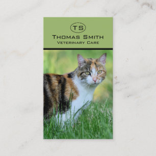 Carte De Visite Chat marron et blanc