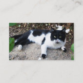 CARTE DE VISITE CHAT PIERO TURQUE NOIR ET BLANC (Dos)