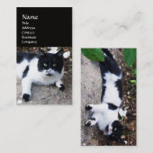 CARTE DE VISITE CHAT PIERO TURQUE NOIR ET BLANC (Devant / Derrière)