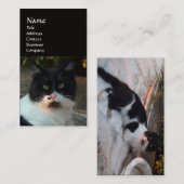 CARTE DE VISITE CHAT PIERO TURQUE NOIR ET BLANC (Devant / Derrière)