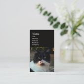 CARTE DE VISITE CHAT PIERO TURQUE NOIR ET BLANC (Debout devant)