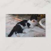 CARTE DE VISITE CHAT PIERO TURQUE NOIR ET BLANC (Dos)