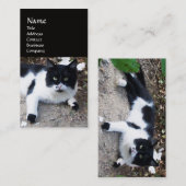 CARTE DE VISITE CHAT PIERO TURQUE NOIR ET BLANC (Devant / Derrière)