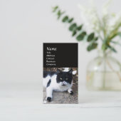 CARTE DE VISITE CHAT PIERO TURQUE NOIR ET BLANC (Debout devant)