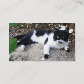 CARTE DE VISITE CHAT PIERO TURQUE NOIR ET BLANC (Dos)