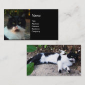 CARTE DE VISITE CHAT PIERO TURQUE NOIR ET BLANC (Devant / Derrière)