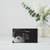 CARTE DE VISITE CHAT PIERO TURQUE NOIR ET BLANC (Debout devant)