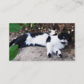 CARTE DE VISITE CHAT PIERO TURQUE NOIR ET BLANC (Dos)