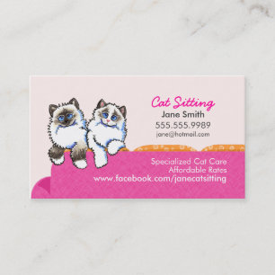 Carte De Visite Chat reposant le rose de divan de Ragdoll