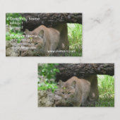 Carte De Visite Chat sauvage mignon (Devant / Derrière)