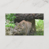 Carte De Visite Chat sauvage mignon (Dos)