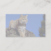 Carte De Visite Chat sauvage skylined (Dos)