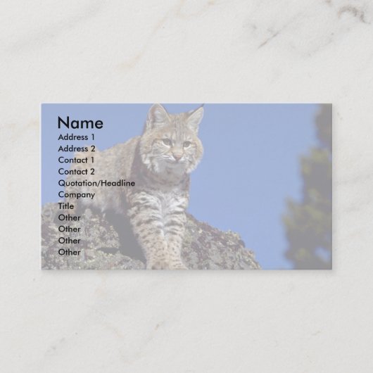 Carte De Visite Chat sauvage skylined (Devant)