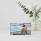 Carte De Visite Chat siamois (Debout devant)