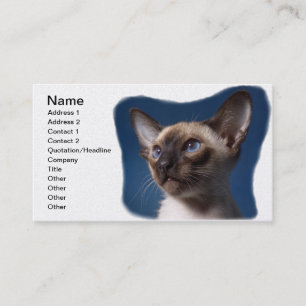 Carte De Visite Chat siamois aux yeux bleus
