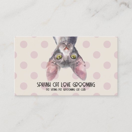 Carte De Visite Chat sphynx canadien motif à points (Devant)
