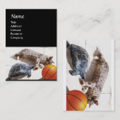 CARTE DE VISITE CHAT, TORTUE ET BASKETBALL (Devant / Derrière)