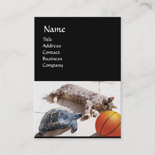 CARTE DE VISITE CHAT, TORTUE ET BASKETBALL (Devant)