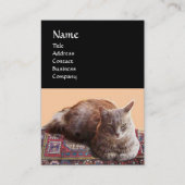 CARTE DE VISITE CHAT TURQUE EN MÉDITATION TRANSCENDENTALE (Devant)