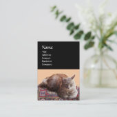 CARTE DE VISITE CHAT TURQUE EN MÉDITATION TRANSCENDENTALE (Debout devant)