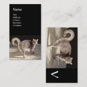 CARTE DE VISITE CHAT TURQUE MONOGRAMME (Devant / Derrière)