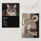 CARTE DE VISITE CHAT TURQUE MONOGRAMME (Devant / Derrière)