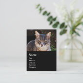 CARTE DE VISITE CHAT TURQUE MONOGRAMME (Debout devant)