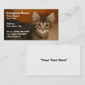 Carte De Visite Chaton mignon sur un fond Brown (Devant / Derrière)