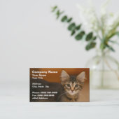 Carte De Visite Chaton mignon sur un fond Brown (Debout devant)