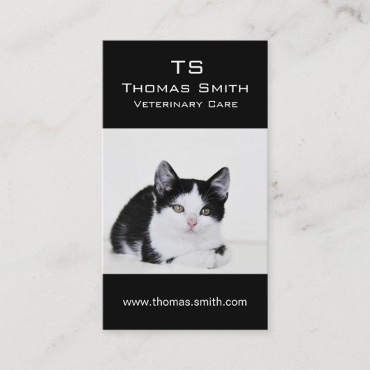 Carte De Visite Chaton noir et blanc (Devant)