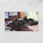 Carte De Visite Chatons (Dos)