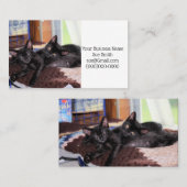 Carte De Visite Chatons (Devant / Derrière)