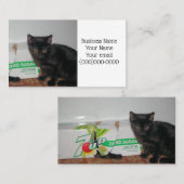 Carte De Visite Chatons (Devant / Derrière)