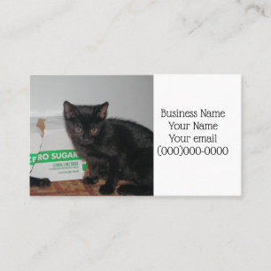 Carte De Visite Chatons